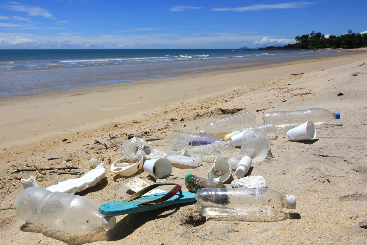 Plastic pollution on beach